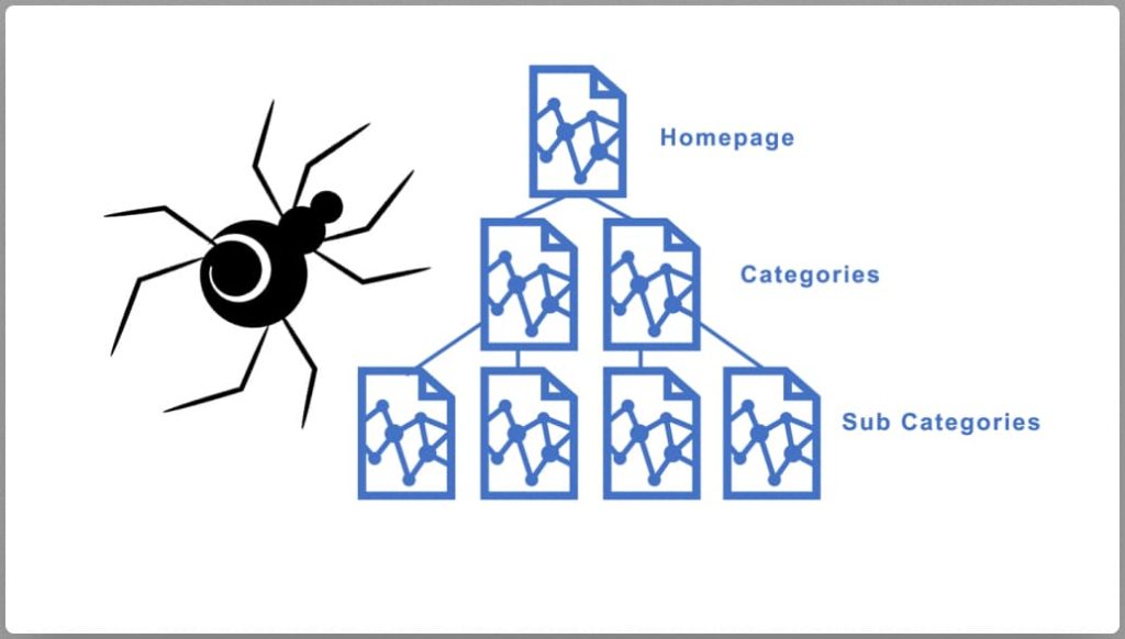 googlebot spider crawling